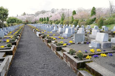 墓地種樹|植木のあるお墓を建てたい。注意点やおすすめの樹種。